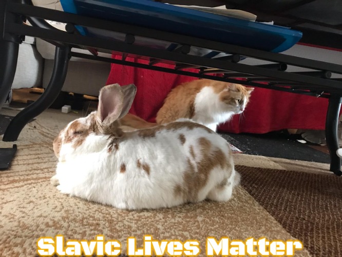 Disney and Max | Slavic Lives Matter | image tagged in disney and max,slavic | made w/ Imgflip meme maker