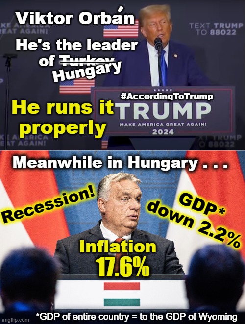 Trump praises Viktor Orban | '; Viktor Orban; He's the leader
of Turkey; ____; Hungary; #AccordingToTrump; He runs it
properly; Meanwhile in Hungary . . . Recession! GDP*
down 2.2%; Inflation; 17.6%; *GDP of entire country = to the GDP of Wyoming | image tagged in viktor orban,hungary,trump,economy | made w/ Imgflip meme maker