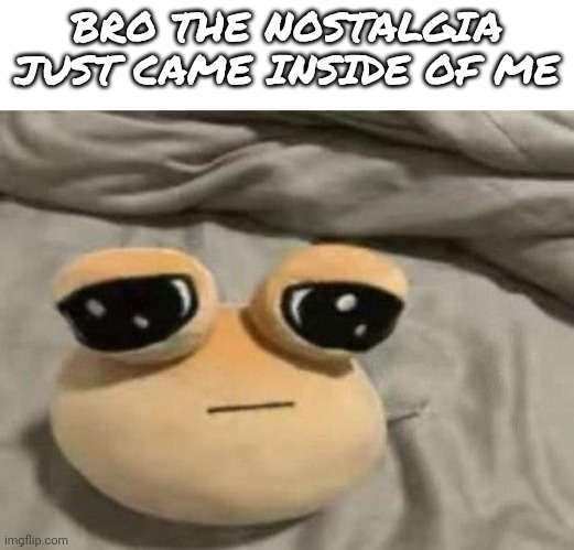 Idk | BRO THE NOSTALGIA JUST CAME INSIDE OF ME | image tagged in pou | made w/ Imgflip meme maker