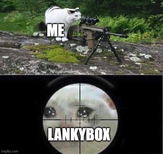 Sniper cat | ME LANKYBOX | image tagged in sniper cat | made w/ Imgflip meme maker