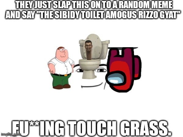 just why? | THEY JUST SLAP THIS ON TO A RANDOM MEME AND SAY "THE SIBIDY TOILET AMOGUS RIZZO GYAT"; FU**ING TOUCH GRASS. | image tagged in why not | made w/ Imgflip meme maker