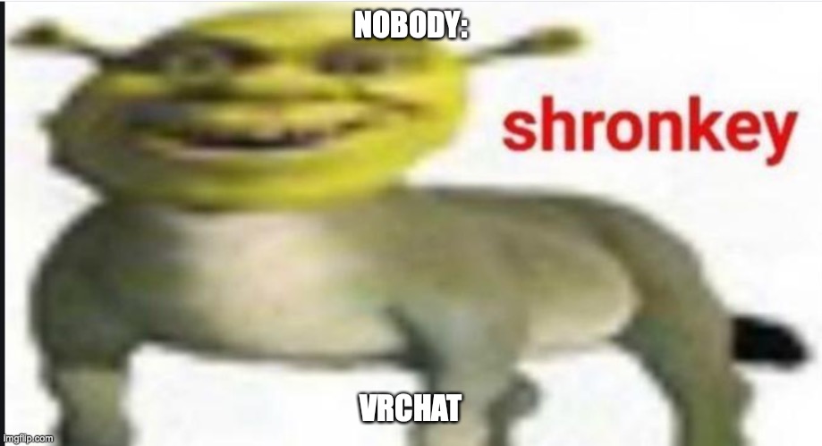 Shronkey | NOBODY:; VRCHAT | image tagged in shronkey | made w/ Imgflip meme maker