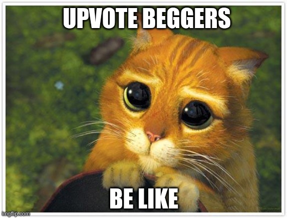 All the time | UPVOTE BEGGERS; BE LIKE | image tagged in memes,shrek cat | made w/ Imgflip meme maker