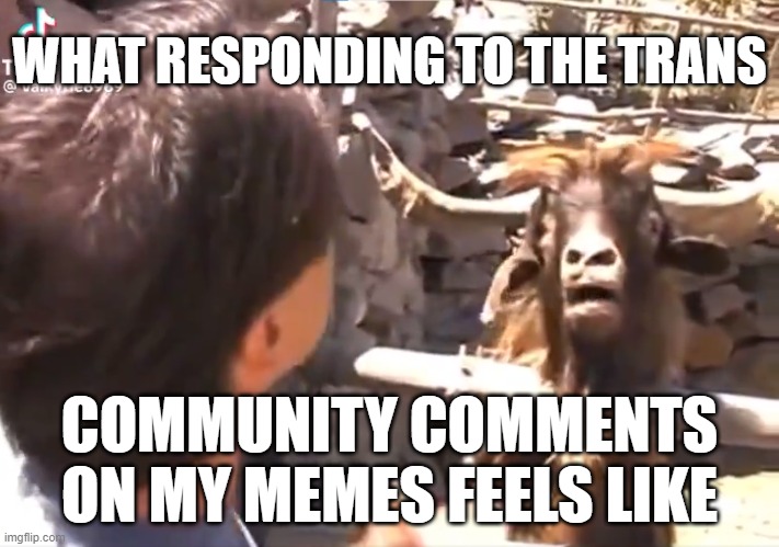 2 languages 2 sets of "facts" | WHAT RESPONDING TO THE TRANS; COMMUNITY COMMENTS ON MY MEMES FEELS LIKE | image tagged in transgender,trans,gender,gender identity,gender confusion,2 genders | made w/ Imgflip meme maker