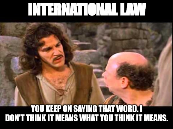 Inigo Montoya | INTERNATIONAL LAW; YOU KEEP ON SAYING THAT WORD. I DON'T THINK IT MEANS WHAT YOU THINK IT MEANS. | image tagged in inigo montoya | made w/ Imgflip meme maker