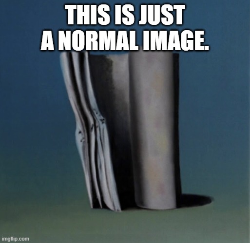 very normal | THIS IS JUST A NORMAL IMAGE. | image tagged in not memes | made w/ Imgflip meme maker