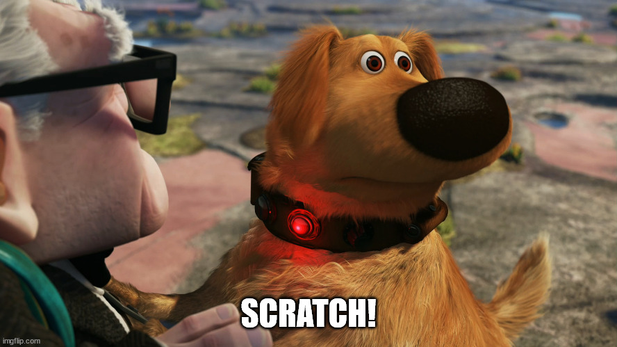 Up Dog | SCRATCH! | image tagged in up dog | made w/ Imgflip meme maker