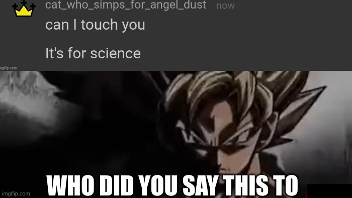 I need to now for A project | WHO DID YOU SAY THIS TO | image tagged in goku staring,memes,lol | made w/ Imgflip meme maker