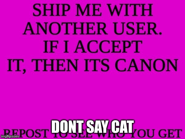 ??? | DONT SAY CAT | image tagged in ship me with another user,n | made w/ Imgflip meme maker