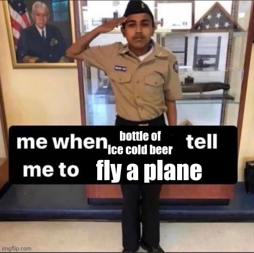 . | fly a plane; bottle of ice cold beer | made w/ Imgflip meme maker