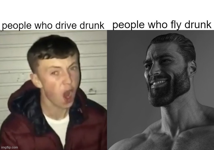 average fan vs average enjoyer | people who fly drunk; people who drive drunk | image tagged in average fan vs average enjoyer | made w/ Imgflip meme maker