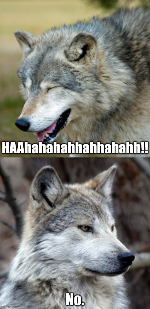 haha-no-wolf | HAAhahahahhahhahahh!! No. | image tagged in haha-no-wolf | made w/ Imgflip meme maker