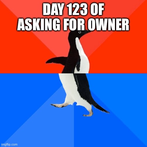 Socially Awesome Awkward Penguin | DAY 123 OF ASKING FOR OWNER | image tagged in memes,socially awesome awkward penguin | made w/ Imgflip meme maker