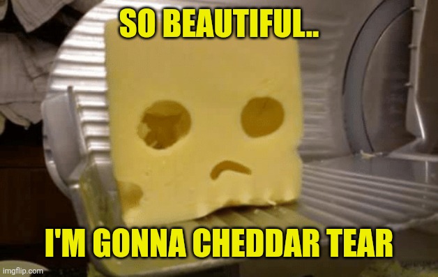 Sad Cheese | SO BEAUTIFUL.. I'M GONNA CHEDDAR TEAR | image tagged in sad cheese | made w/ Imgflip meme maker