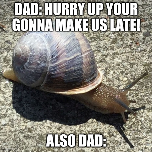 Slow as a snail... | DAD: HURRY UP YOUR GONNA MAKE US LATE! ALSO DAD: | image tagged in slow as a snail | made w/ Imgflip meme maker