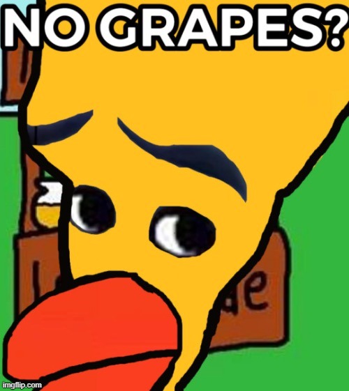 NO GRAPES? | image tagged in no grapes | made w/ Imgflip meme maker