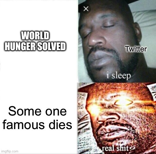 Sleeping Shaq Meme | WORLD HUNGER SOLVED; Twitter; Some one famous dies | image tagged in memes,sleeping shaq,twitter,bruh | made w/ Imgflip meme maker
