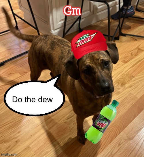 Do the dew | Gm | image tagged in do the dew | made w/ Imgflip meme maker