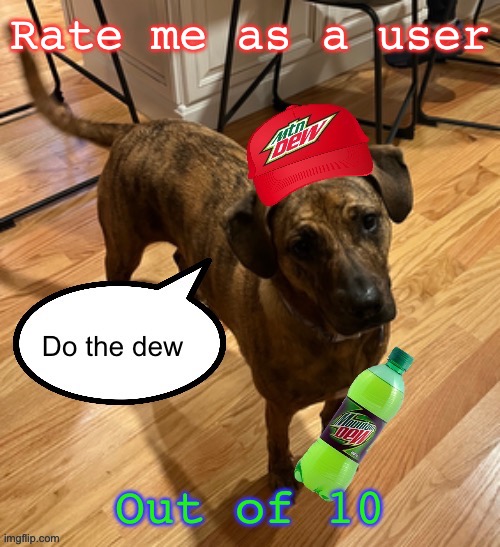 Do the dew | Rate me as a user; Out of 10 | image tagged in do the dew | made w/ Imgflip meme maker