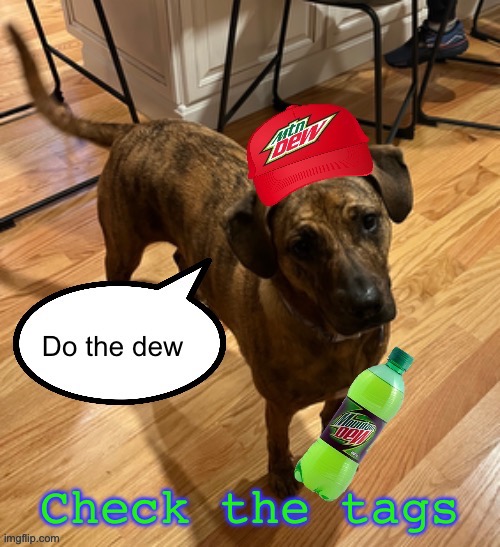 Do the dew | Check the tags | image tagged in do the dew,haha made you look,fool me once shame on you,fool me twice shame on me | made w/ Imgflip meme maker