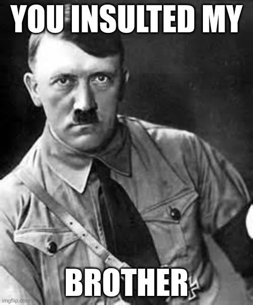 Adolf Hitler | YOU INSULTED MY; BROTHER | image tagged in adolf hitler | made w/ Imgflip meme maker