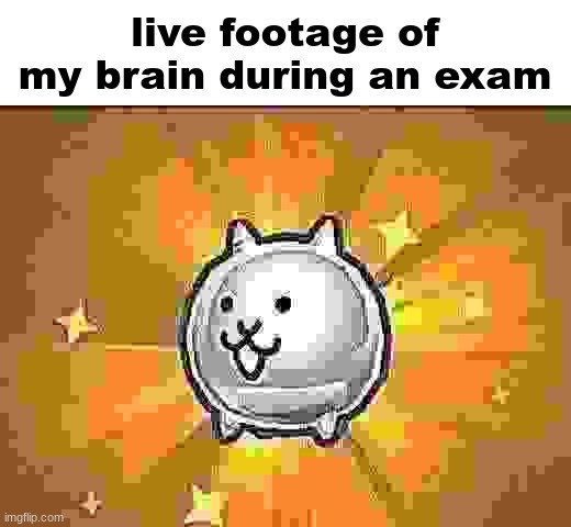 I Feel Like I Have Lead In My Head | live footage of my brain during an exam | image tagged in fat metal cat | made w/ Imgflip meme maker