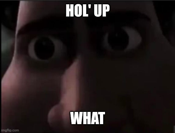 tighten stare | HOL' UP WHAT | image tagged in tighten stare | made w/ Imgflip meme maker