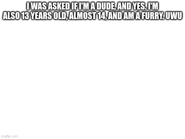 yes | I WAS ASKED IF I'M A DUDE, AND YES. I'M ALSO 13 YEARS OLD, ALMOST 14, AND AM A FURRY. UWU | image tagged in yes | made w/ Imgflip meme maker