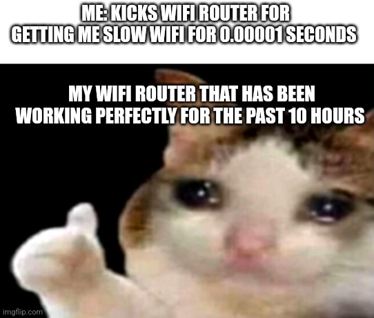 The WiFi is going to be terrible now | ME: KICKS WIFI ROUTER FOR GETTING ME SLOW WIFI FOR 0.00001 SECONDS; MY WIFI ROUTER THAT HAS BEEN WORKING PERFECTLY FOR THE PAST 10 HOURS | image tagged in sad cat thumbs up,wifi | made w/ Imgflip meme maker
