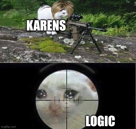 Sniper cat | KARENS; LOGIC | image tagged in sniper cat | made w/ Imgflip meme maker