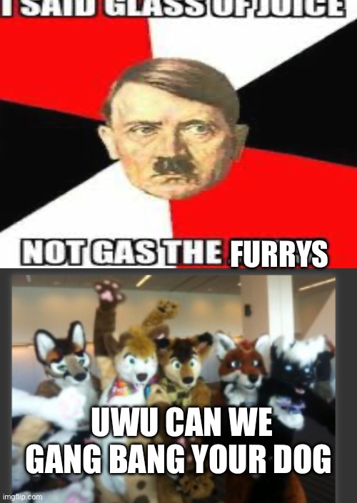 Antifurry and furry slander | FURRYS; UWU CAN WE GANG BANG YOUR DOG | image tagged in hhhy,hhy | made w/ Imgflip meme maker