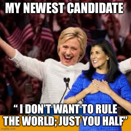 Newest democratic candidate | MY NEWEST CANDIDATE; “ I DON’T WANT TO RULE THE WORLD; JUST YOU HALF” | image tagged in democrats new candidate,funny,memes | made w/ Imgflip meme maker