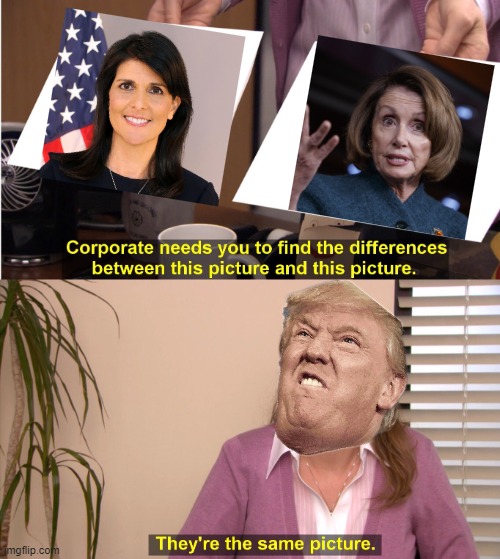 They're both names starting with N so it's a mistake anybody could make | image tagged in memes,they're the same picture,nancy pelosi,nikki haley,donald trump | made w/ Imgflip meme maker