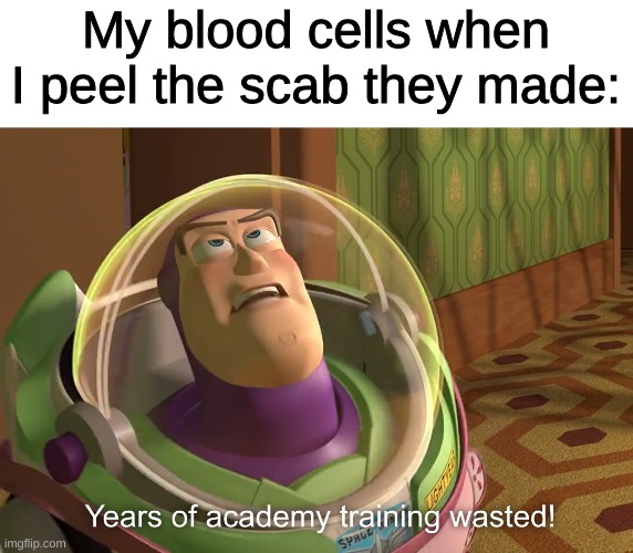 Blood sad :( | My blood cells when I peel the scab they made: | image tagged in years of academy training wasted | made w/ Imgflip meme maker