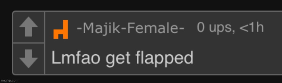 Lmfao get flapped | image tagged in lmfao get flapped | made w/ Imgflip meme maker
