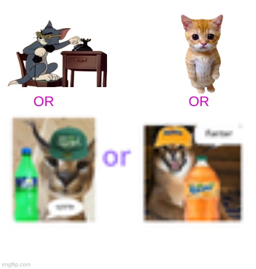 what should i use as myself in memes (p.s im not a furry, i just like goofy memecats) | OR                                   OR | image tagged in i love democracy,polls,memecat | made w/ Imgflip meme maker