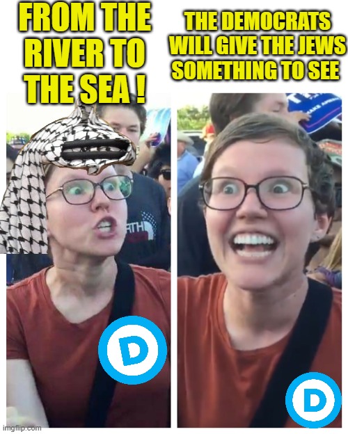 Hey the DEMS have your back | FROM THE RIVER TO THE SEA ! THE DEMOCRATS WILL GIVE THE JEWS SOMETHING TO SEE | image tagged in social justice warrior hypocrisy | made w/ Imgflip meme maker