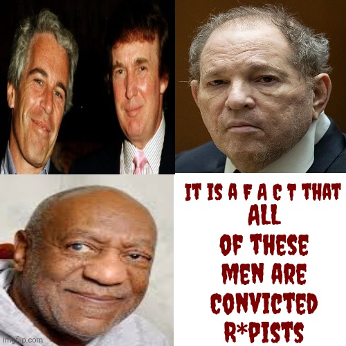 F A C T S | ALL of these men are
Convicted R*pists; It is a F A C T that | image tagged in memes,drake hotline bling,fact,lock him up,rapist,trump unfit unqualified dangerous | made w/ Imgflip meme maker