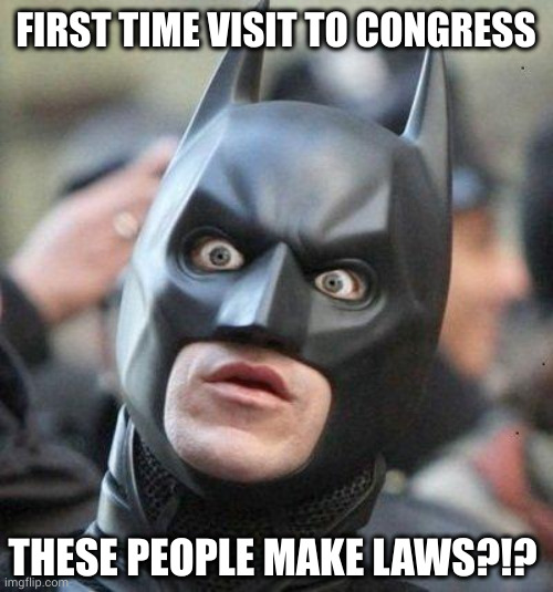 These are the people who write the laws I enforce with my fists? | FIRST TIME VISIT TO CONGRESS; THESE PEOPLE MAKE LAWS?!? | image tagged in shocked batman,congress,legislators,memes,crazy,government | made w/ Imgflip meme maker