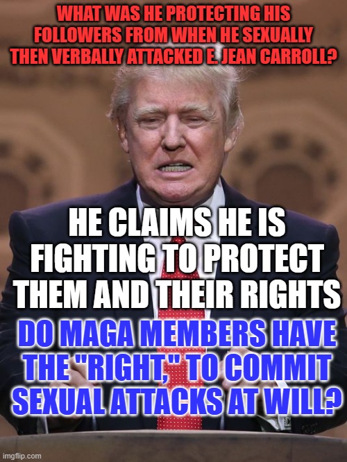 He is a Champion for the masses? Malarky! | WHAT WAS HE PROTECTING HIS FOLLOWERS FROM WHEN HE SEXUALLY THEN VERBALLY ATTACKED E. JEAN CARROLL? HE CLAIMS HE IS FIGHTING TO PROTECT THEM AND THEIR RIGHTS; DO MAGA MEMBERS HAVE THE "RIGHT," TO COMMIT SEXUAL ATTACKS AT WILL? | image tagged in donald trump | made w/ Imgflip meme maker