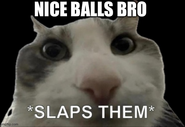 NICE BALLS BRO | made w/ Imgflip meme maker