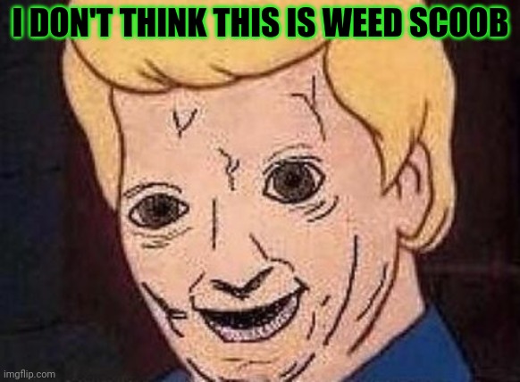 Shaggy this isnt weed fred scooby doo | I DON'T THINK THIS IS WEED SCOOB | image tagged in shaggy this isnt weed fred scooby doo | made w/ Imgflip meme maker