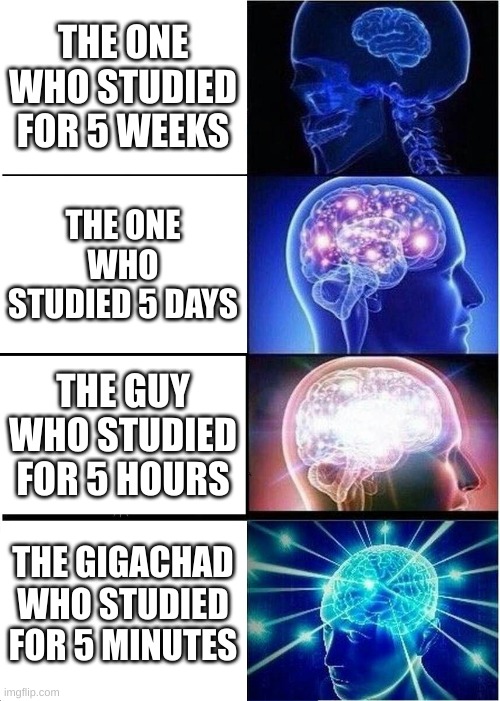 The Guy | THE ONE WHO STUDIED FOR 5 WEEKS; THE ONE WHO STUDIED 5 DAYS; THE GUY WHO STUDIED FOR 5 HOURS; THE GIGACHAD WHO STUDIED FOR 5 MINUTES | image tagged in memes,expanding brain | made w/ Imgflip meme maker