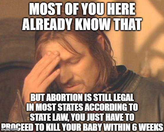 Frustrated Boromir Meme | MOST OF YOU HERE ALREADY KNOW THAT BUT ABORTION IS STILL LEGAL IN MOST STATES ACCORDING TO STATE LAW, YOU JUST HAVE TO PROCEED TO KILL YOUR  | image tagged in memes,frustrated boromir | made w/ Imgflip meme maker