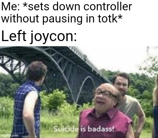 nintendo's controller design sucks | Me: *sets down controller without pausing in totk*; Left joycon: | image tagged in suicide is badass,gaming,memes,funny memes | made w/ Imgflip meme maker