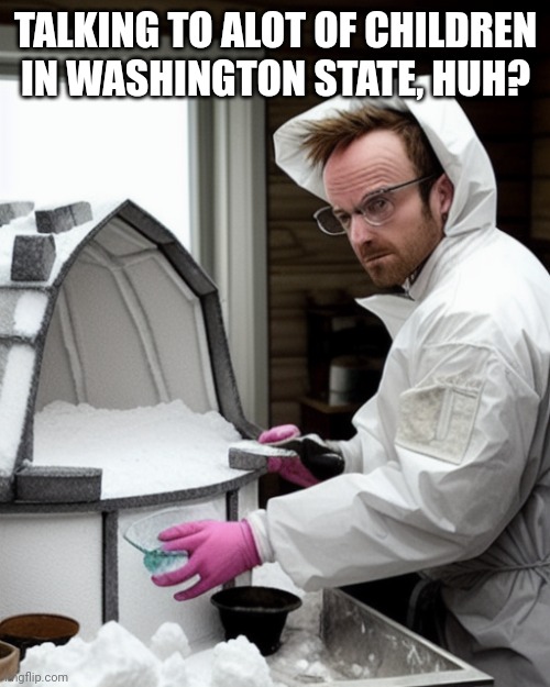 Snowcones | TALKING TO ALOT OF CHILDREN IN WASHINGTON STATE, HUH? | image tagged in snowcones | made w/ Imgflip meme maker