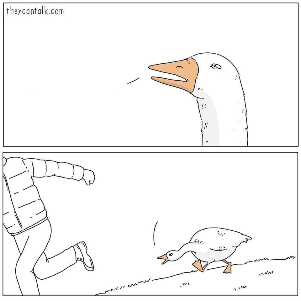 goose Blank Meme Template