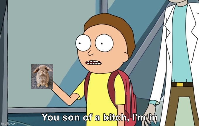 Morty I'm in | image tagged in morty i'm in | made w/ Imgflip meme maker