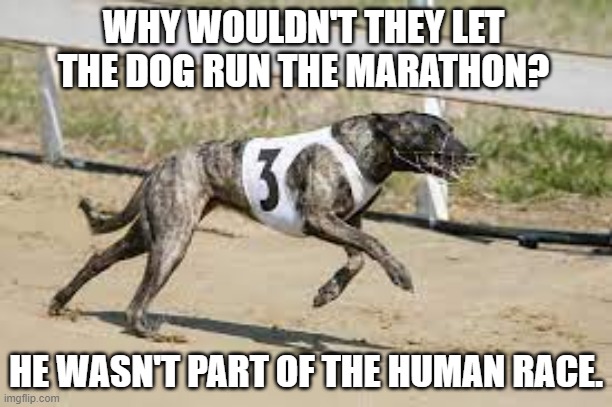 meme by Brad dog racing a marathon | WHY WOULDN'T THEY LET THE DOG RUN THE MARATHON? HE WASN'T PART OF THE HUMAN RACE. | image tagged in sports,running,funny dogs,funny meme,humor,marathon | made w/ Imgflip meme maker
