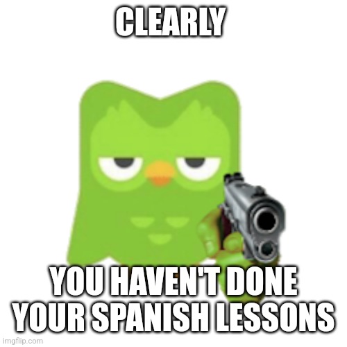 Duolingo | CLEARLY YOU HAVEN'T DONE YOUR SPANISH LESSONS | image tagged in duolingo | made w/ Imgflip meme maker